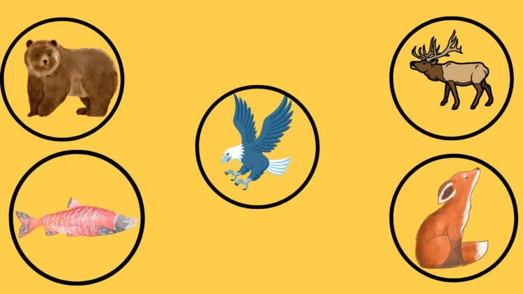 cascadia game tokens