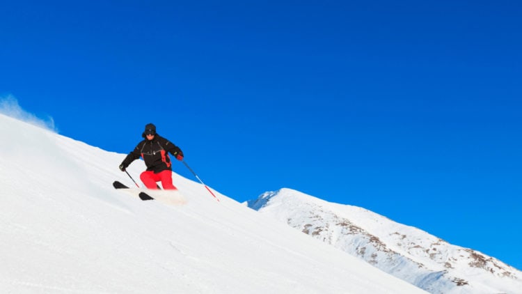 ALPINE SKIING, ALPINE SKIING rules, gameplay